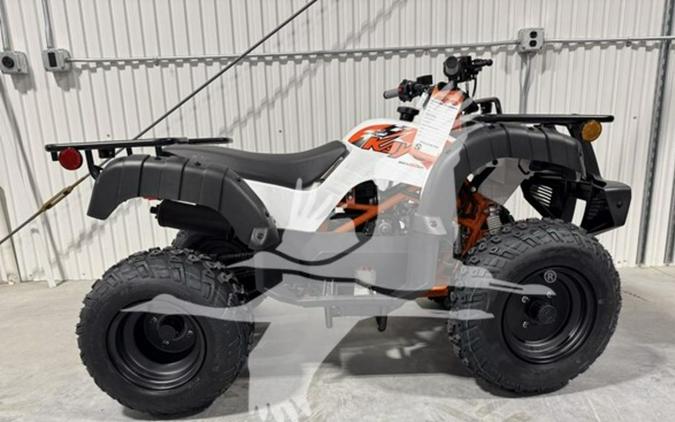 2026 Kayo BULL 150