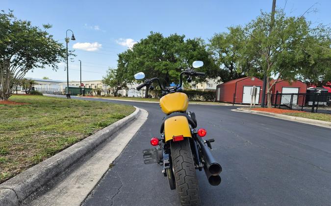 FXBB 2019 Street Bob