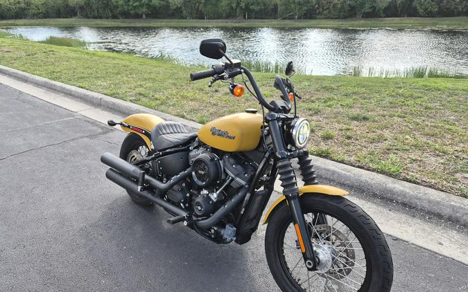 FXBB 2019 Street Bob