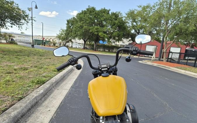 FXBB 2019 Street Bob