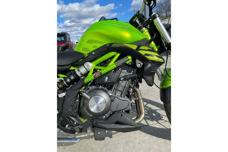 2024 302S - GREEN - Benelli