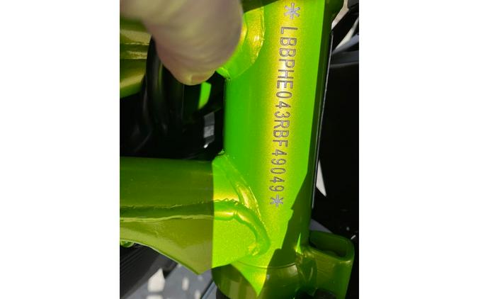 2024 302S - GREEN - Benelli