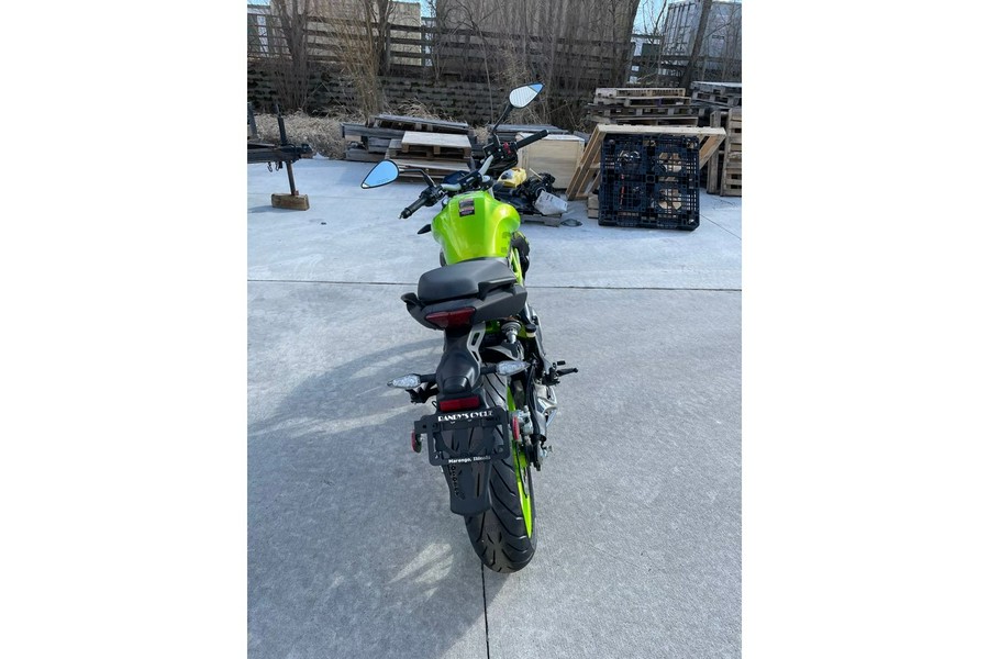 2024 302S - GREEN - Benelli