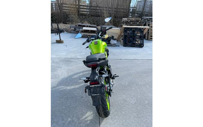 2024 302S - GREEN - Benelli