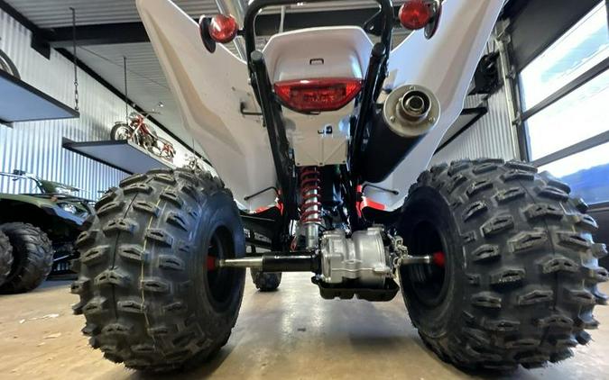 2024 Honda® TRX250X