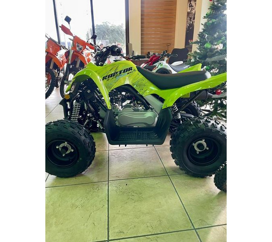 2026 Yamaha Raptor 110