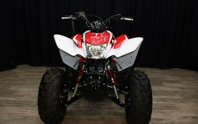 2024 Honda TRX 250X