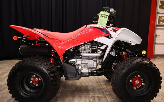 2024 Honda TRX 250X