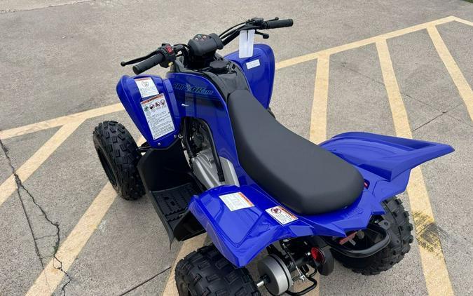 2024 Yamaha Raptor 110