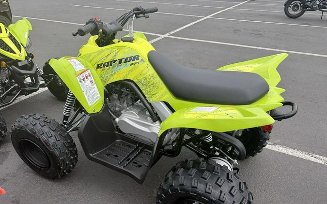 2026 Yamaha Raptor 110