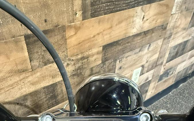 2023 Harley-Davidson® Softail® Standard Vivid Black FXST