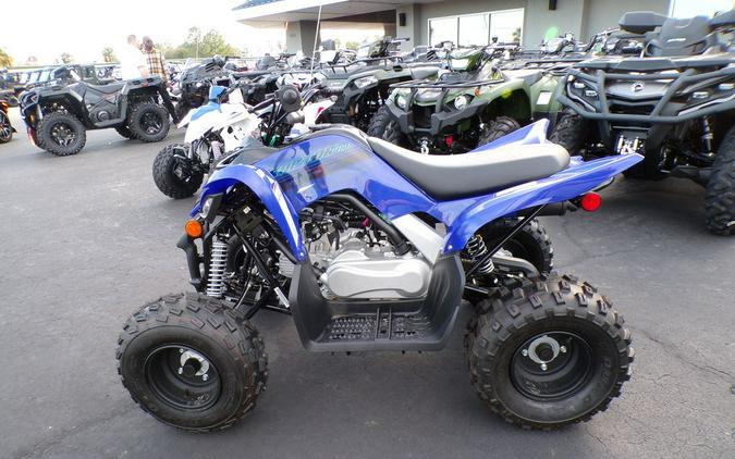 2024 Yamaha Raptor 110