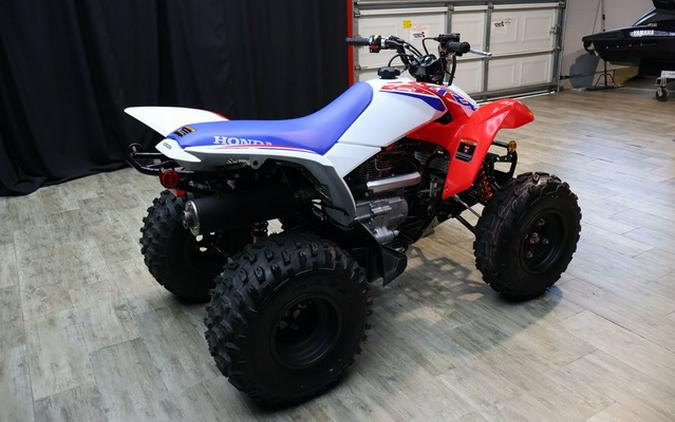 2026 Honda TRX250X