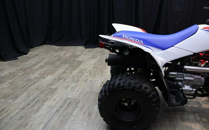 2026 Honda TRX250X
