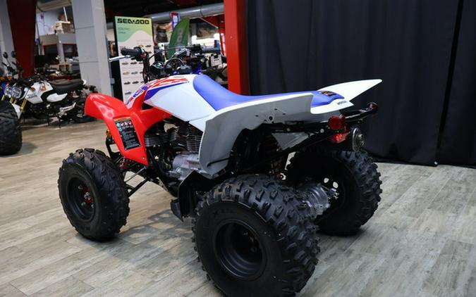2026 Honda TRX250X