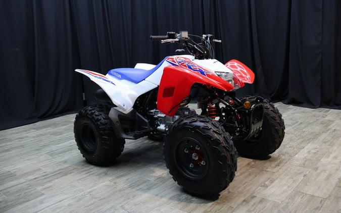 2026 Honda TRX250X
