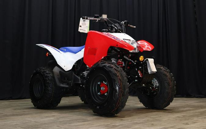2026 Honda TRX250X