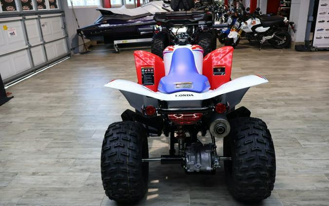 2026 Honda TRX250X