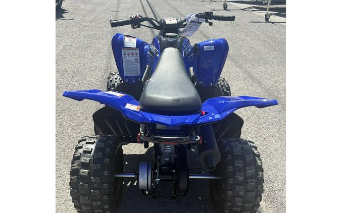 2026 Raptor 110 - Yamaha