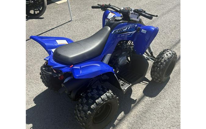 2026 Raptor 110 - Yamaha