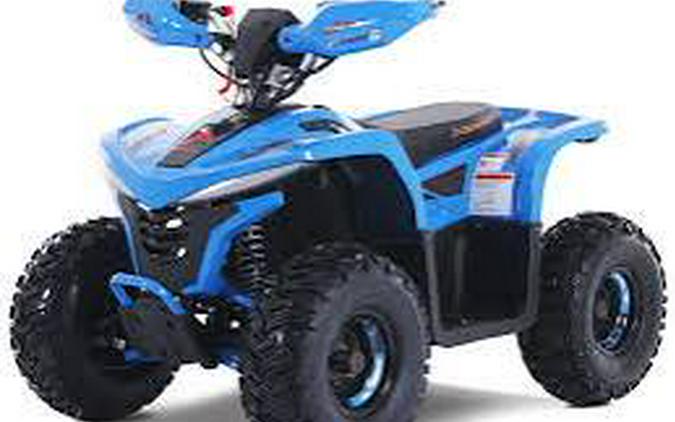 2026 Denago Powersports EHAWK 6