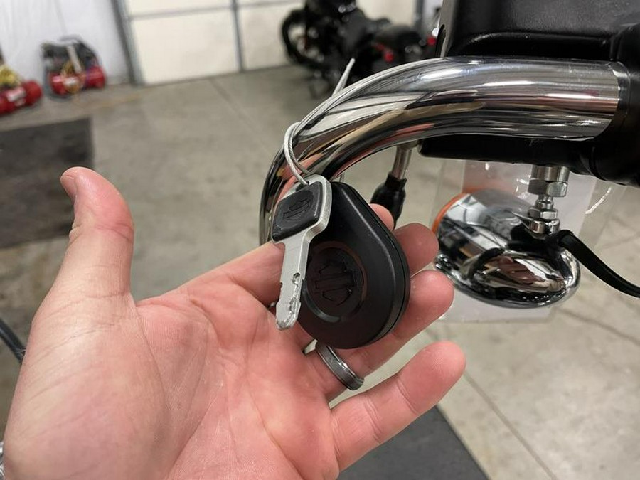 2023 Harley-Davidson® FXST - Softail® Standard