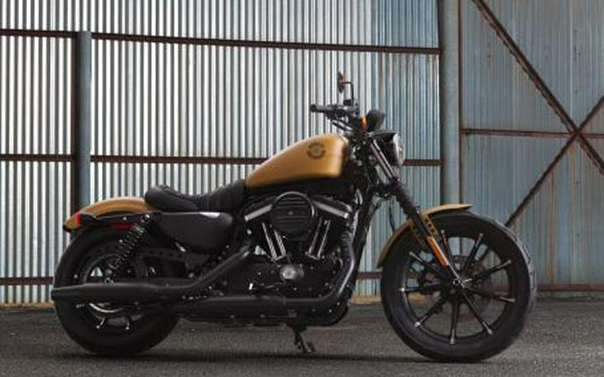 2019 Harley-Davidson Sportster® Iron 883™