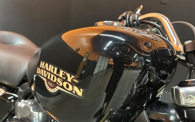 2010 Harley-Davidson Sportster XL883L - 883 Low