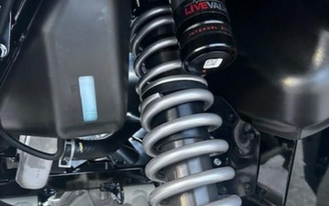 2025 Kawasaki Teryx KRX4 1000 eS