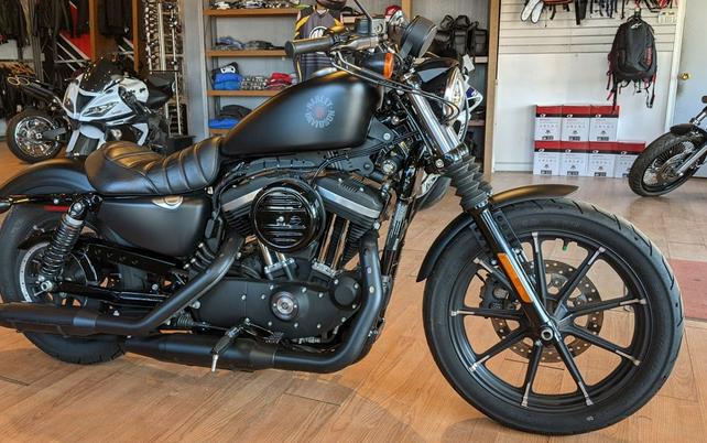 2020 Harley-Davidson® Iron 883™ - Color