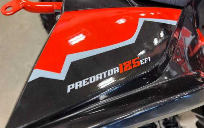 2025 Kayo Predator 125 EFI