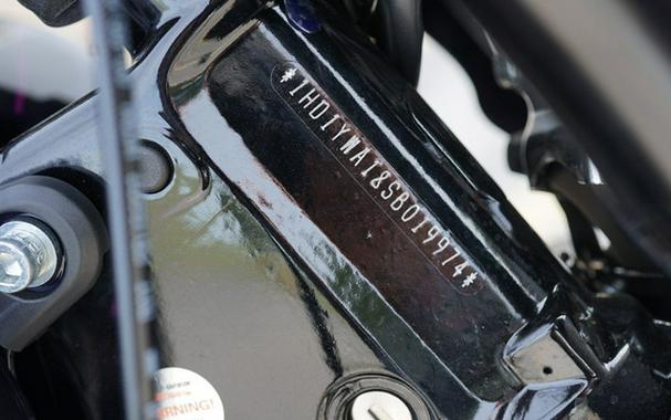 2025 Harley-Davidson FXLRS - Low Rider S