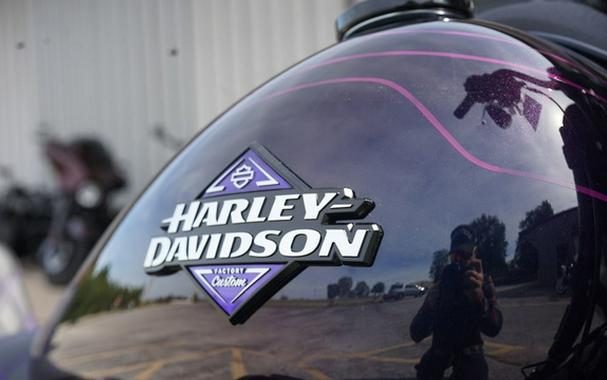 2025 Harley-Davidson FXLRS - Low Rider S