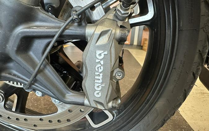 2025 Indian Scout