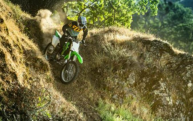 2023 Kawasaki KLX 300R