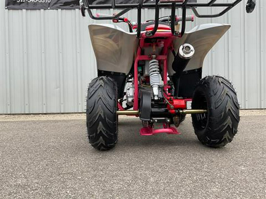 2023 Tao Motor Boulder