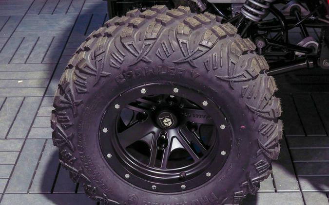 2026 Polaris RZR 200 EFI