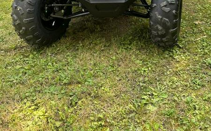 2024 Polaris® RZR 200 EFI