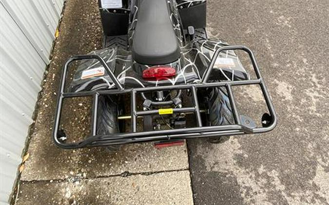 2021 Tao Motor Boulder B1