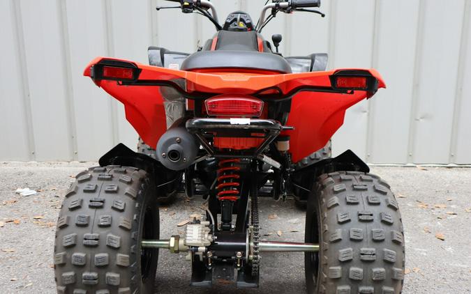 2023 Can-Am DS 250