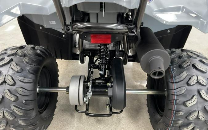 2026 Yamaha Grizzly 110