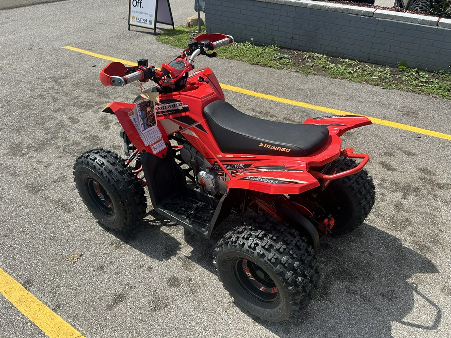 2026 Denago Powersports Trailhawk 10FI ATV 120cc - D10604