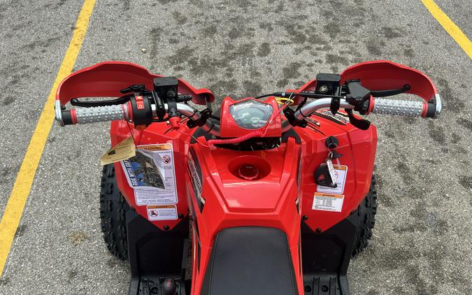 2026 DENAGO TRAILHAWK 10FI 120cc - D10604