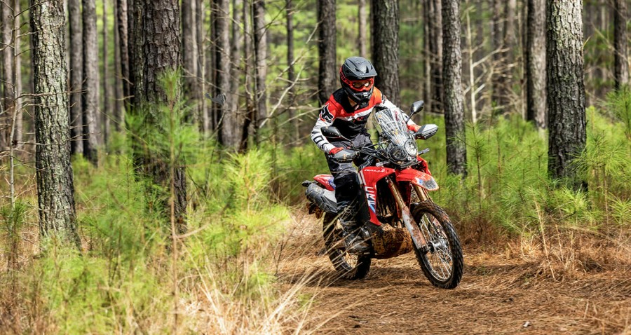 2026 HONDA CRF 300L RALLY