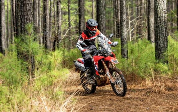 2026 HONDA CRF 300L RALLY