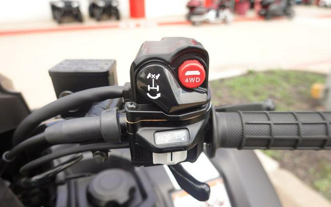 2024 Honda FourTrax Foreman Rubicon 4x4 Automatic DCT EPS Deluxe