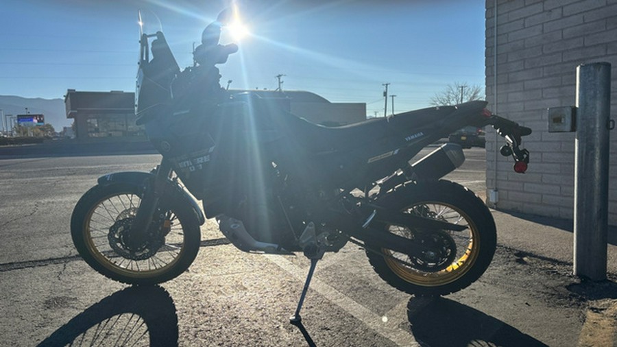 2026 Yamaha Tenere 700 World Raid