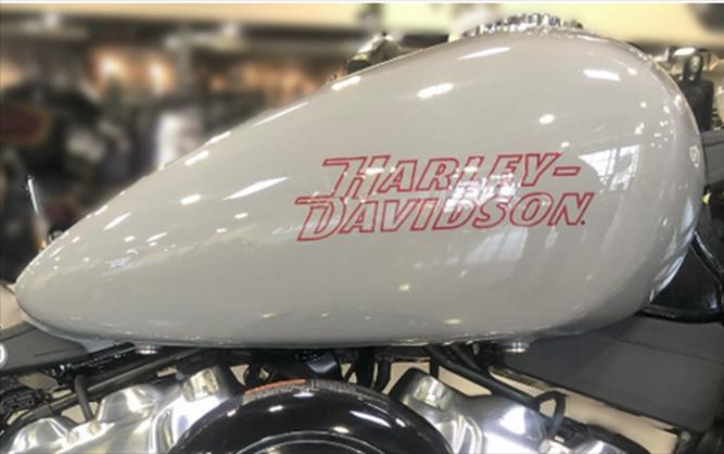 2024 Harley-Davidson Softail® Standard