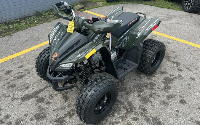 2026 DENAGO TRAILHAWK 10FI 120cc - D10605