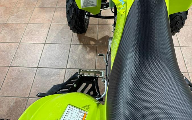 2026 Yamaha Raptor 700R SE